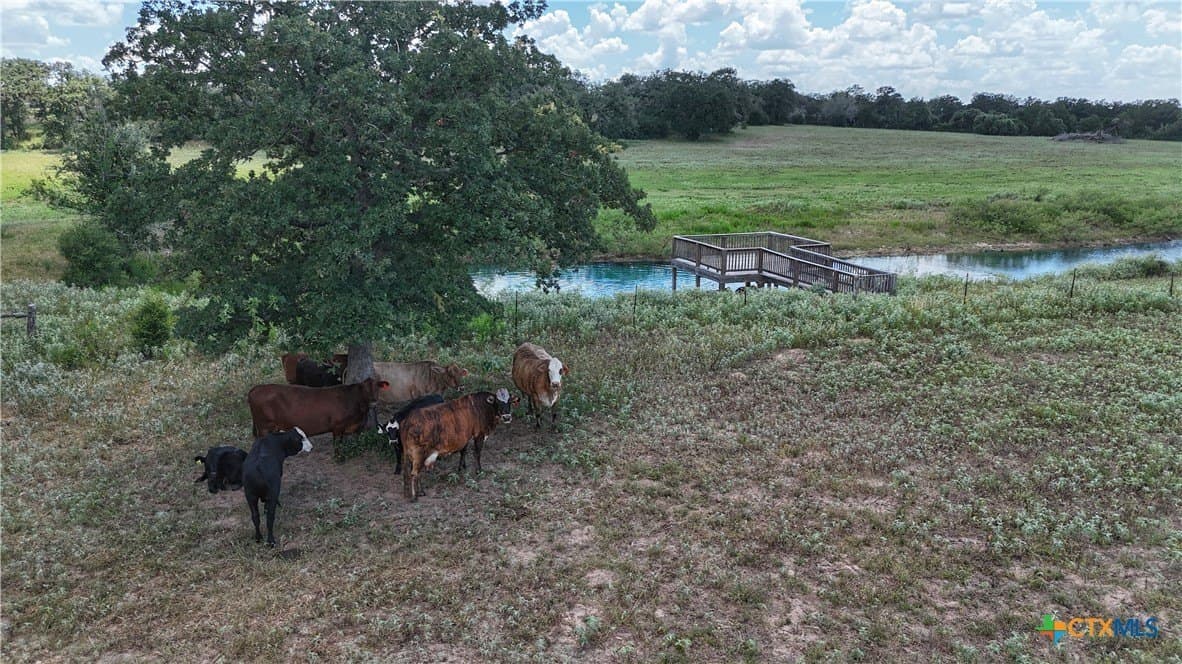 32.14 acres in Gonzales County - photo 6