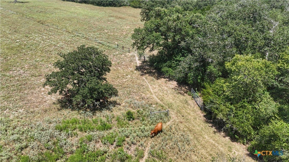 32.14 acres in Gonzales County featured view
