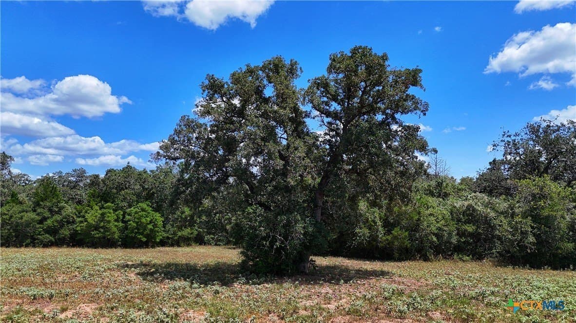 32.14 acres in Gonzales County - photo 11