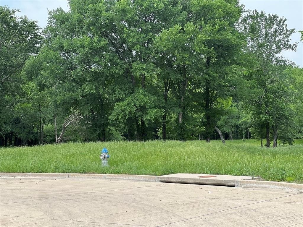 1.41 acres in Hunt County gallery image 2