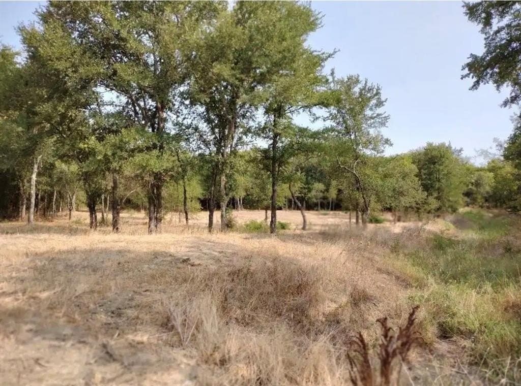 1.41 acres in Hunt County featured view