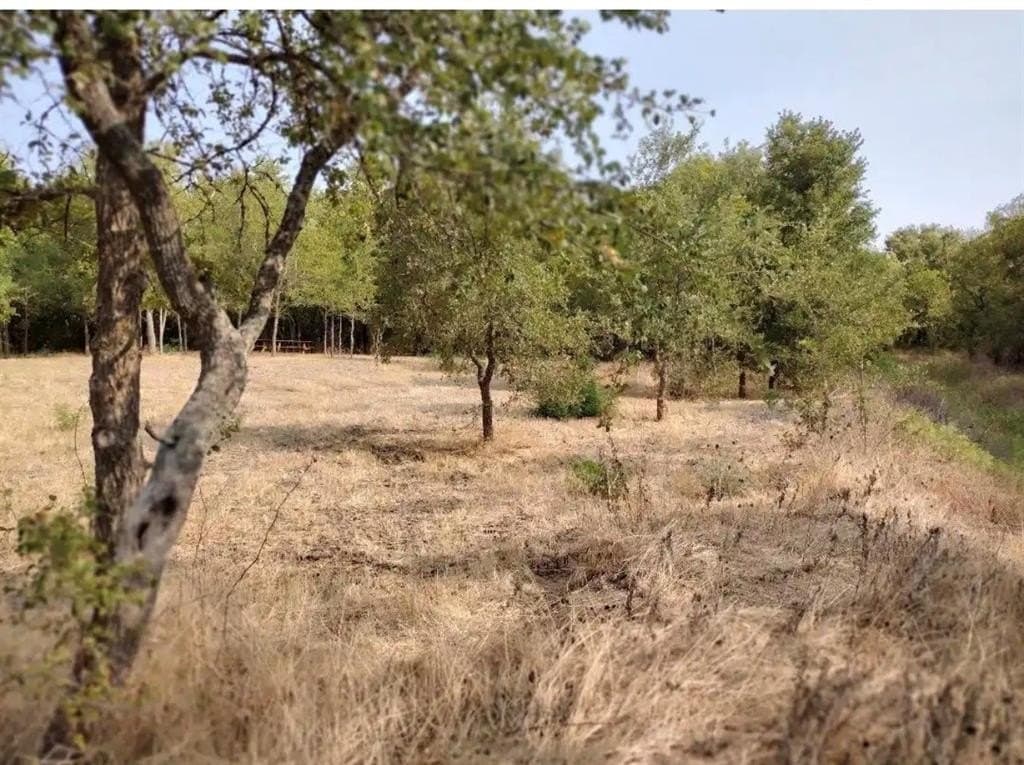 1.41 acres in Hunt County gallery image 3