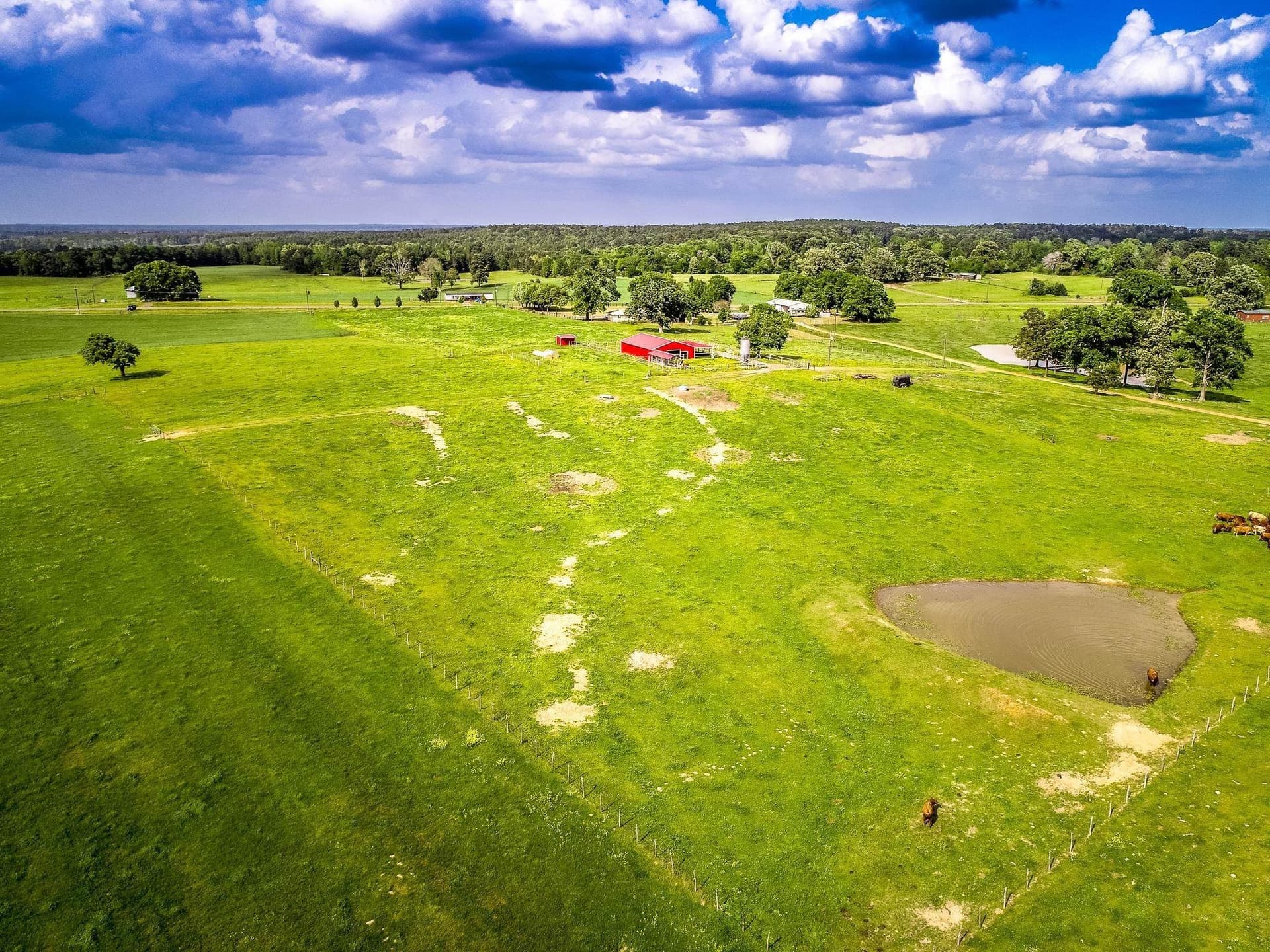 137 acres in Panola County - photo 11