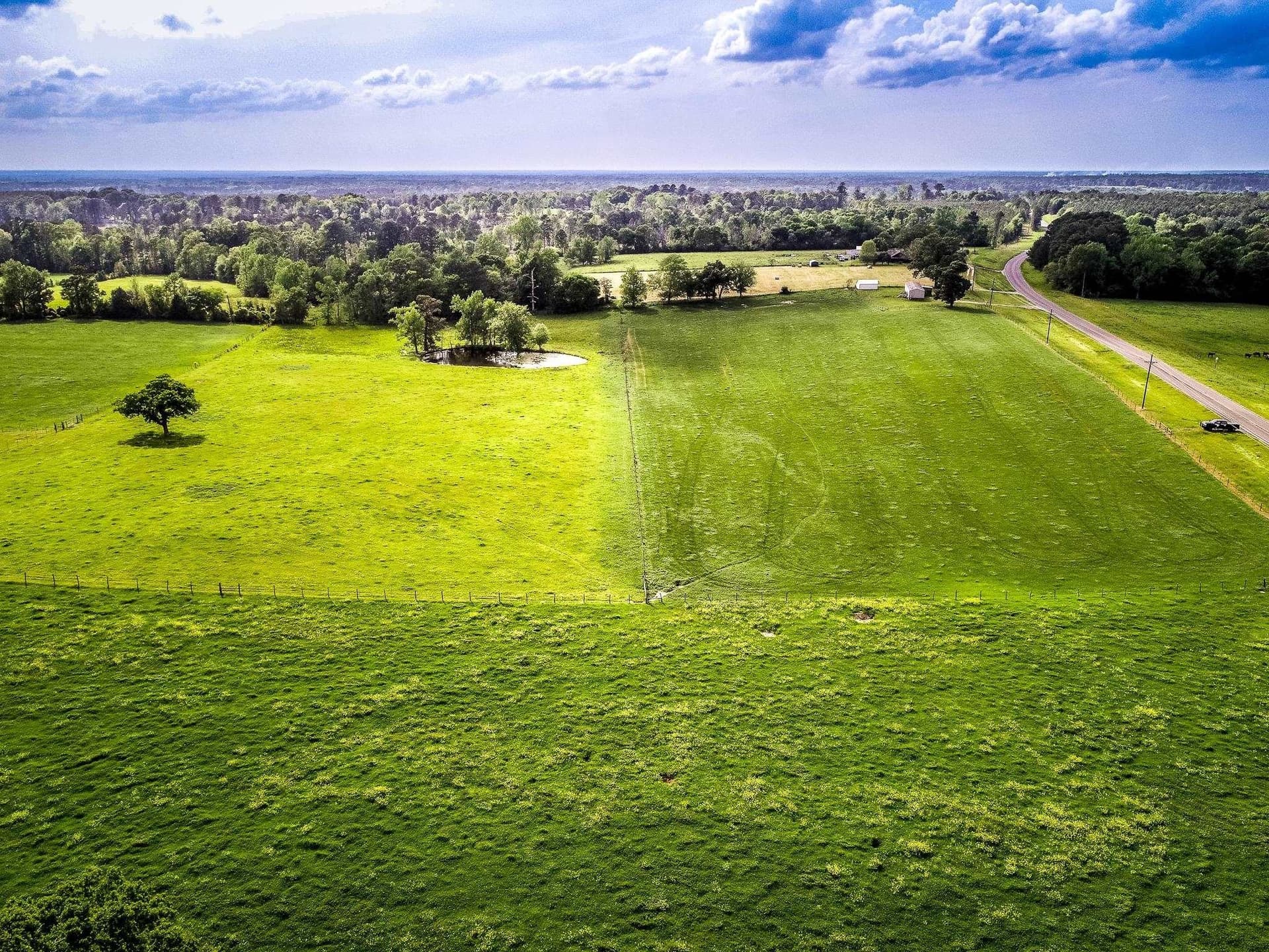 137 acres in Panola County - photo 6
