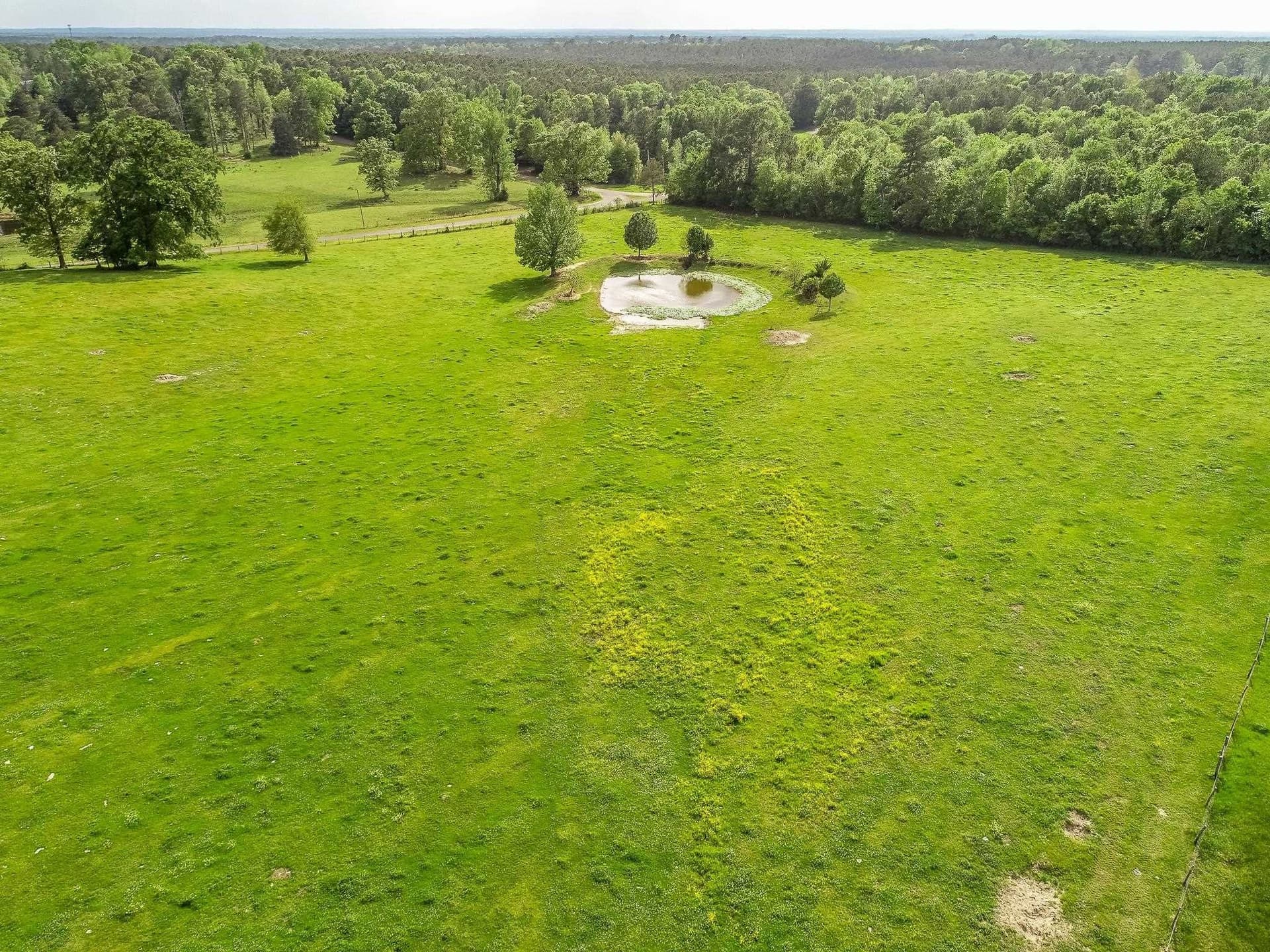 137 acres in Panola County - photo 9