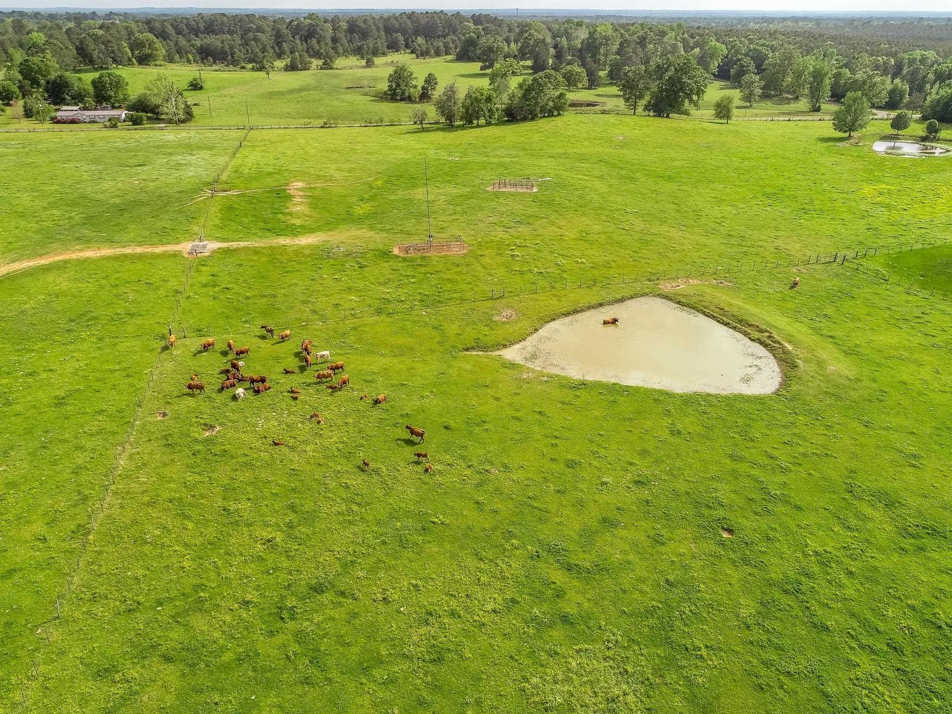 137 acres in Panola County - photo 7