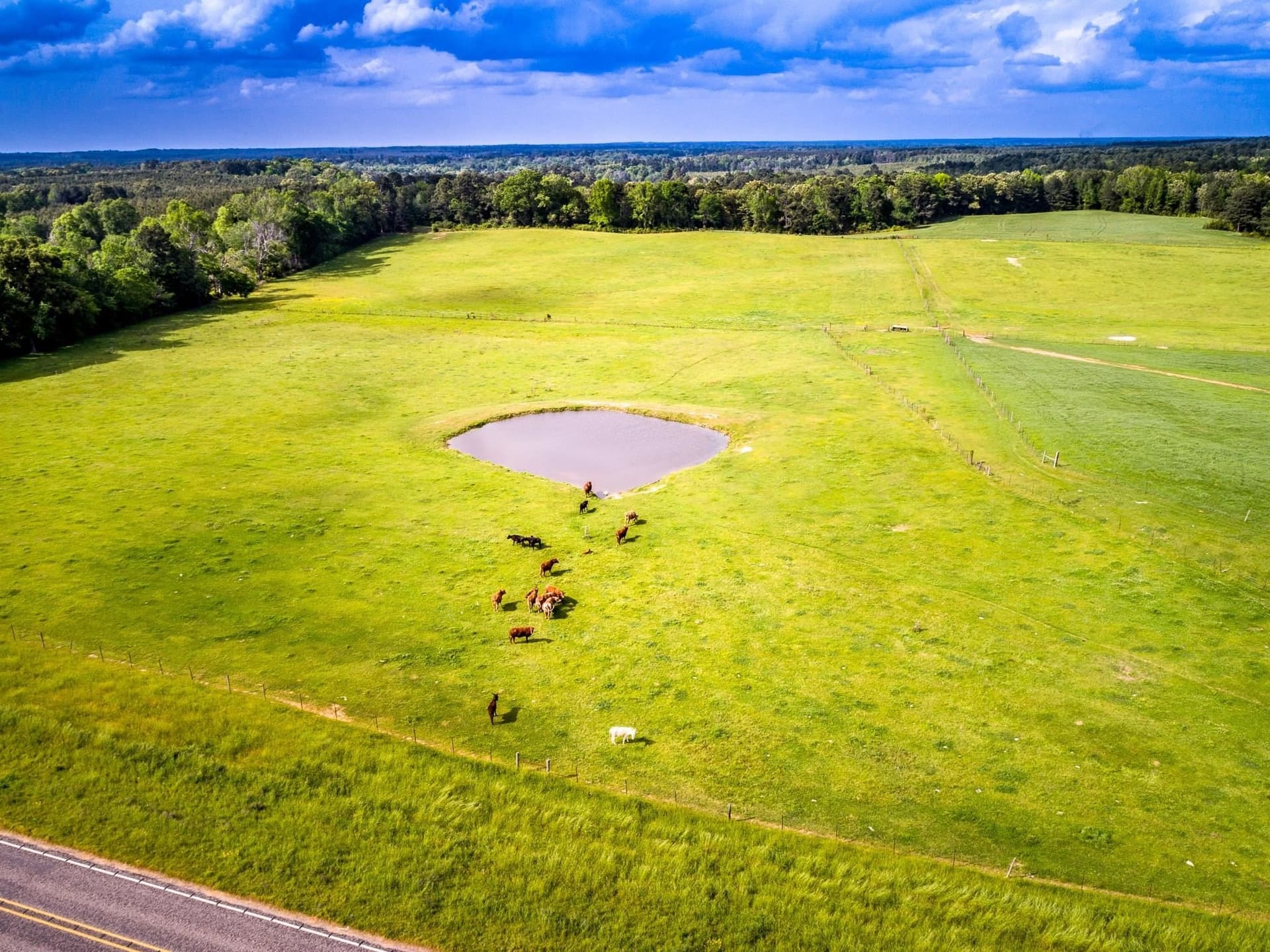 137 acres in Panola County - photo 14