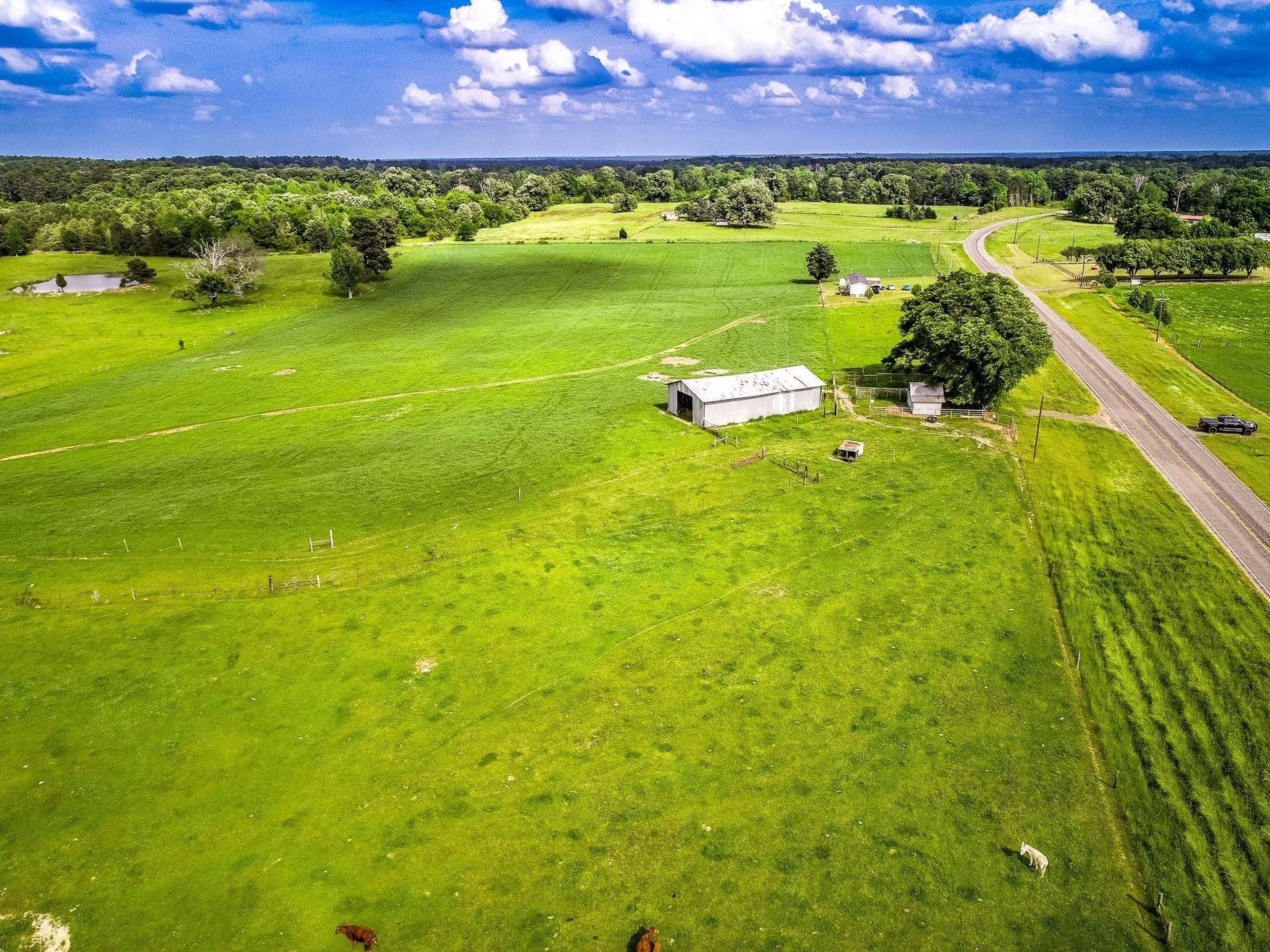 137 acres in Panola County - photo 16