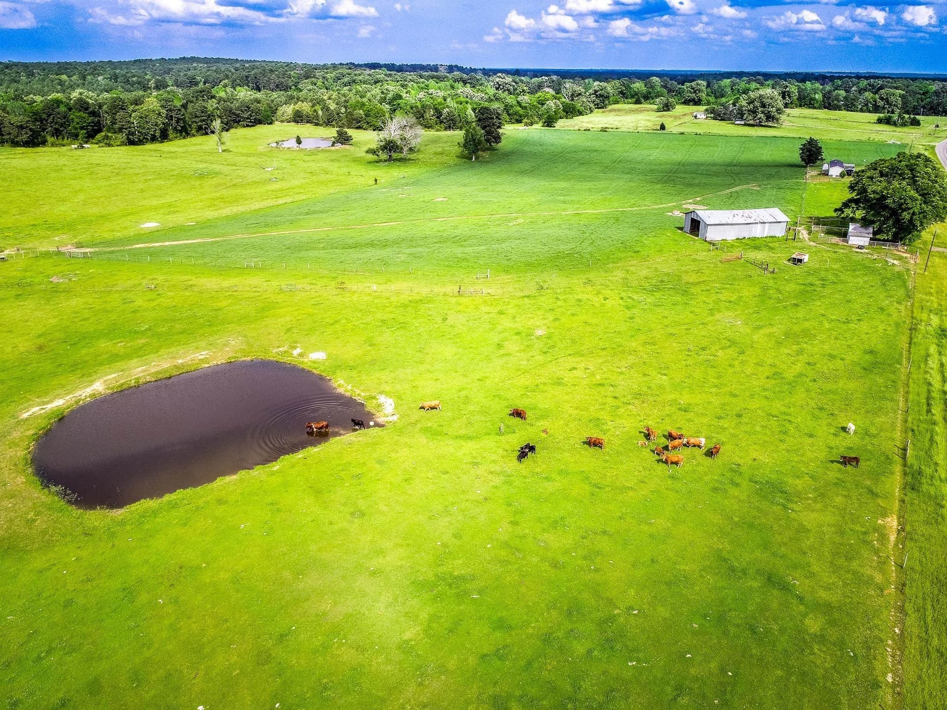137 acres in Panola County - photo 15