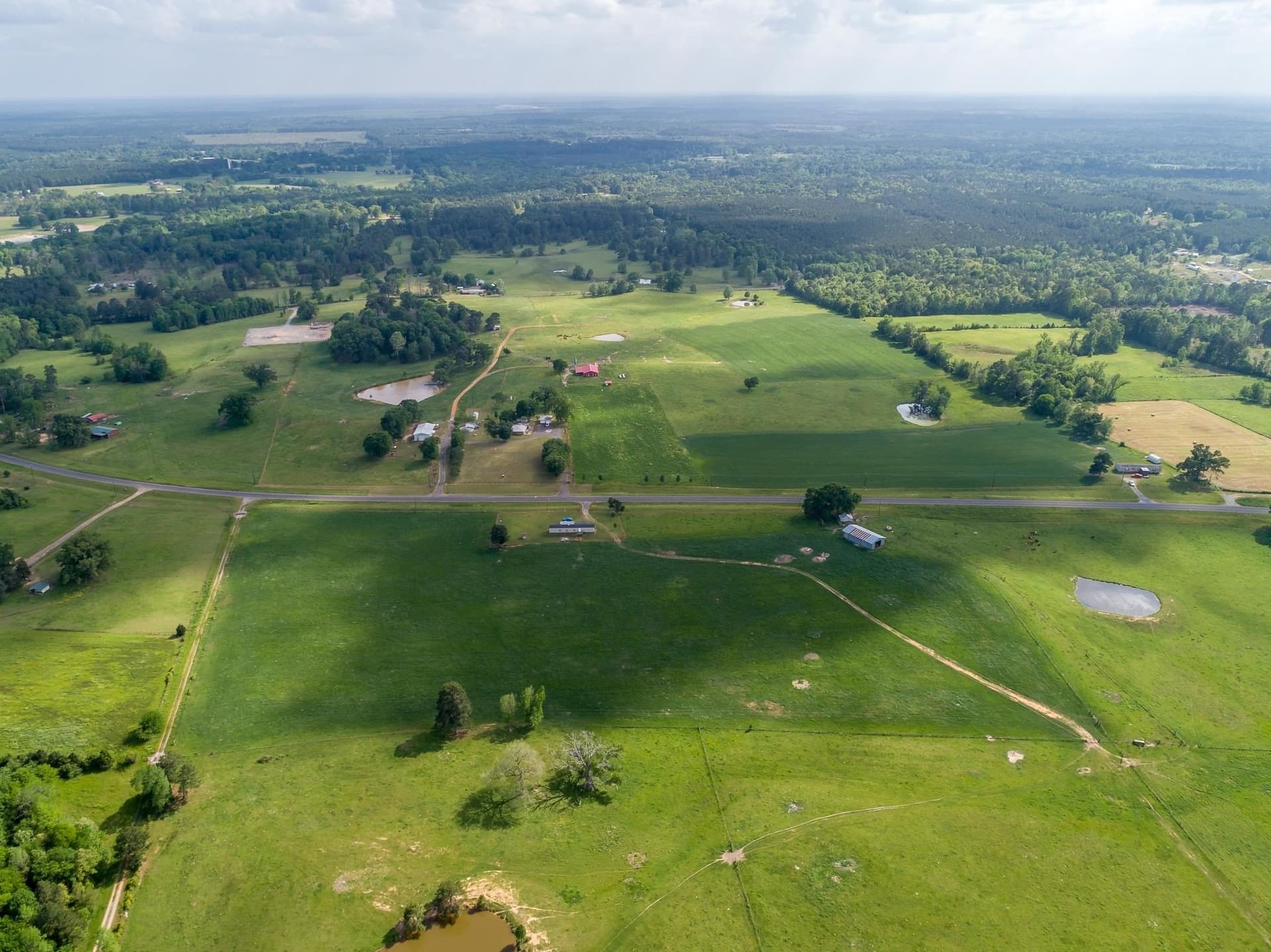 137 acres in Panola County gallery image 4
