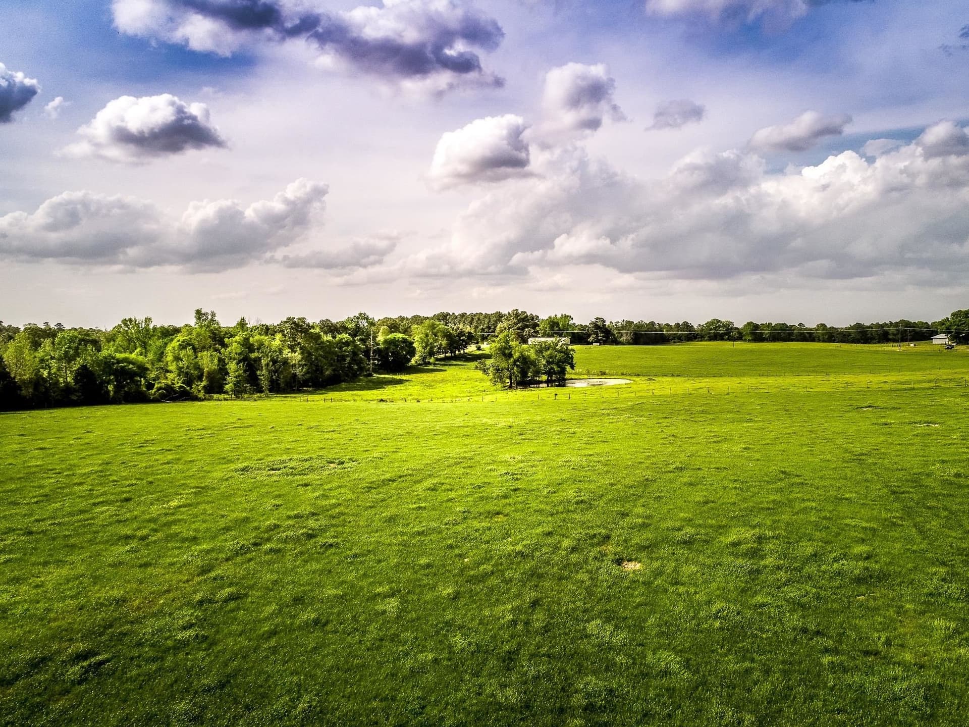 137 acres in Panola County - photo 12