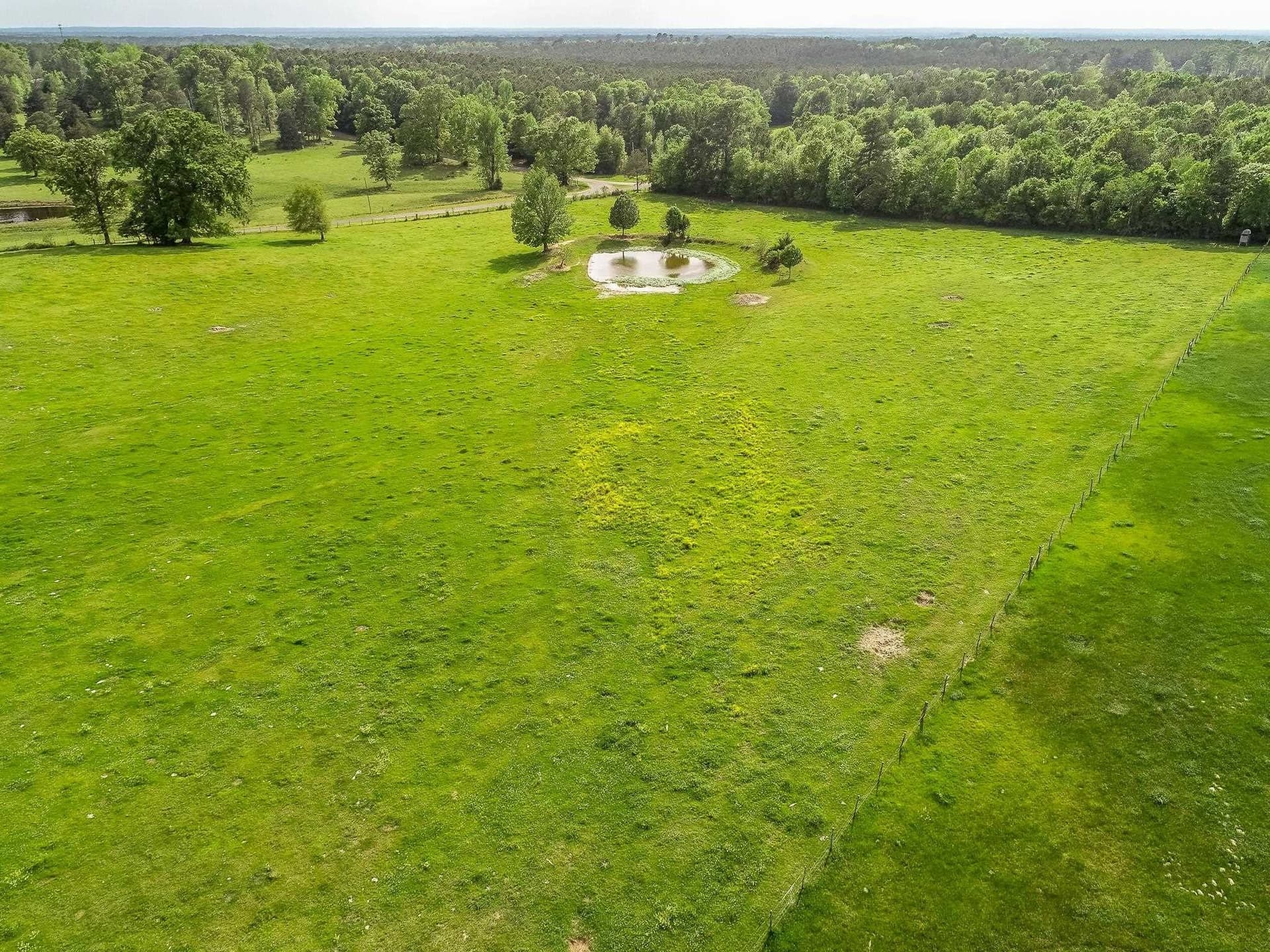 137 acres in Panola County - photo 8