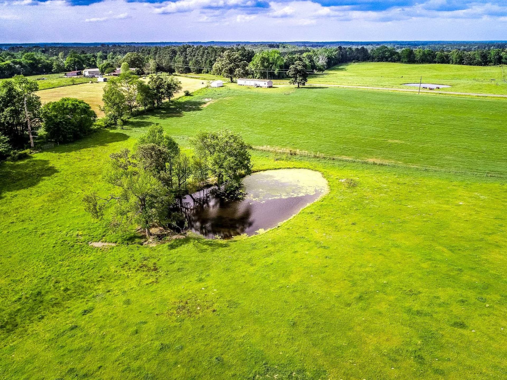 137 acres in Panola County - photo 13