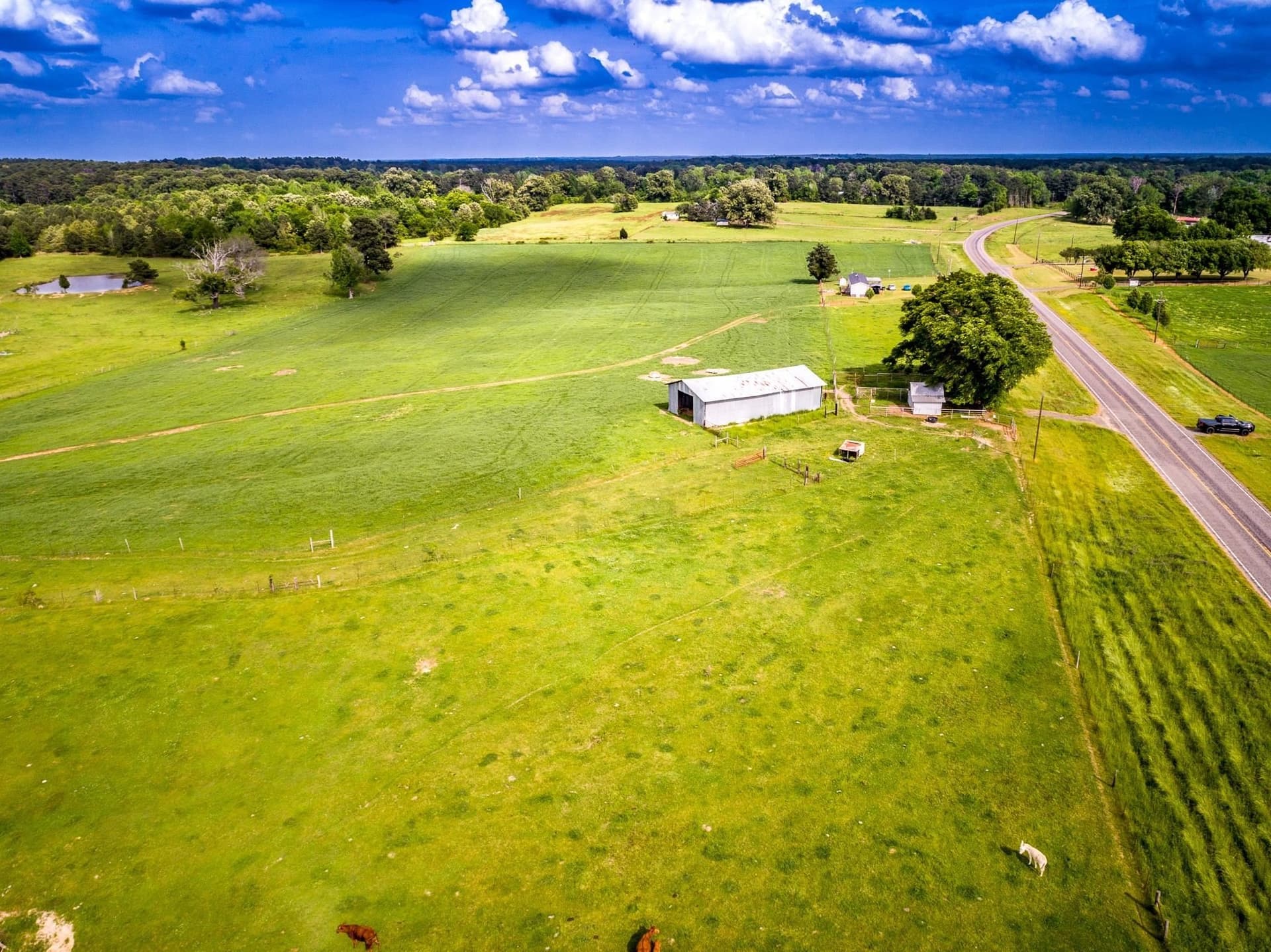 137 acres in Panola County - photo 17