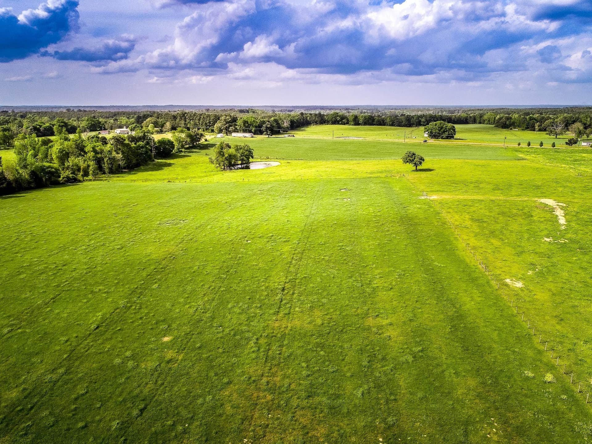137 acres in Panola County - photo 10