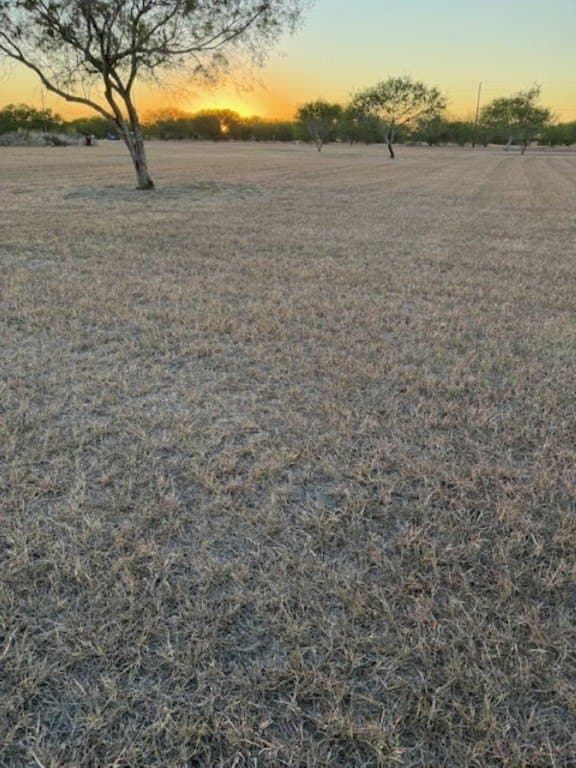 3 acres in Nueces County - photo 3