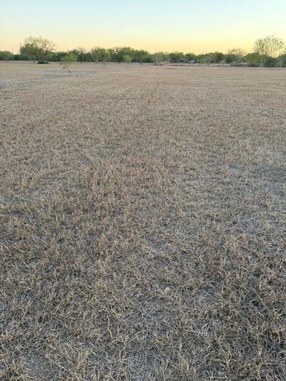 3 acres in Nueces County - photo 7