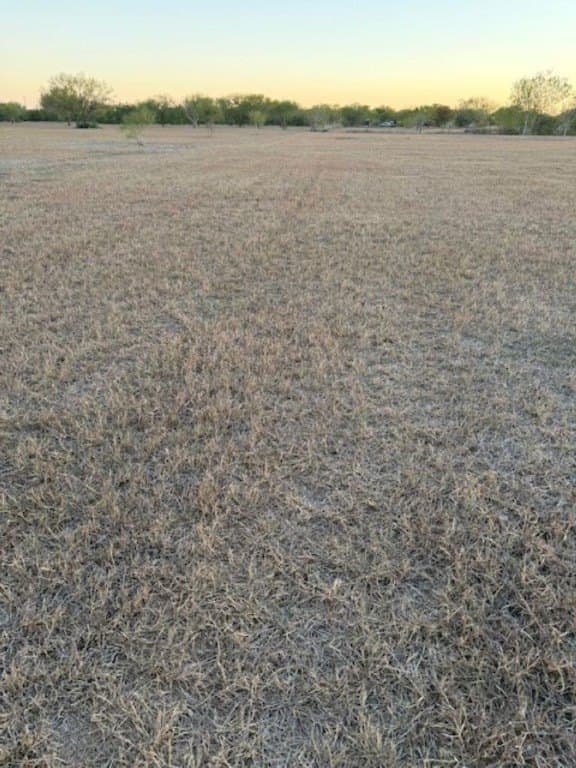 3 acres in Nueces County - photo 5