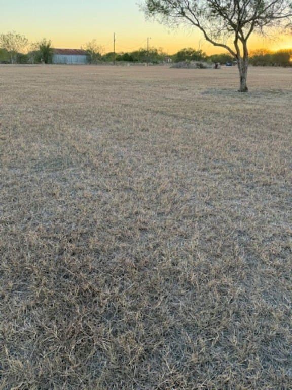 3 acres in Nueces County - photo 4