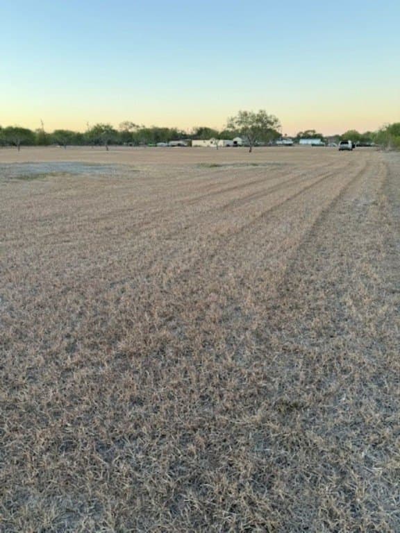 3 acres in Nueces County - photo 6