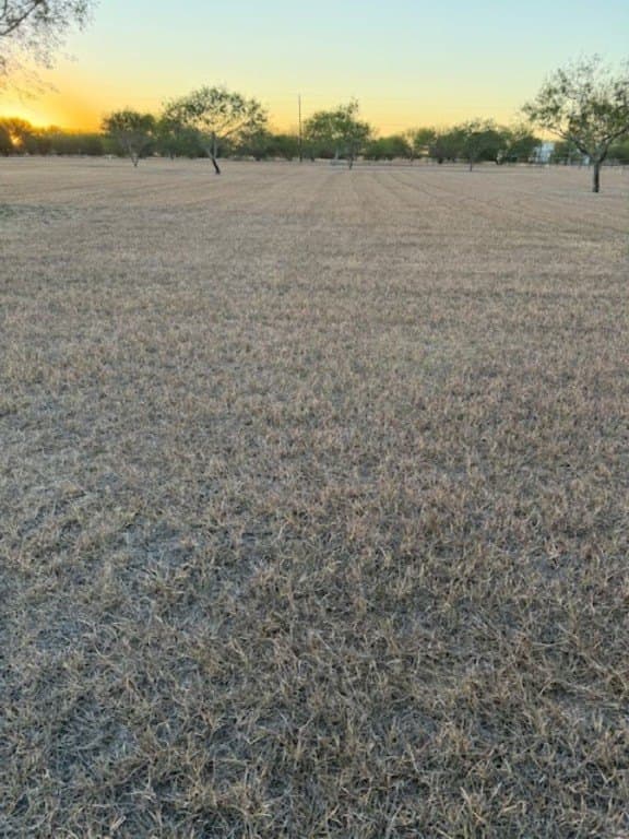 3 acres in Nueces County - photo 2
