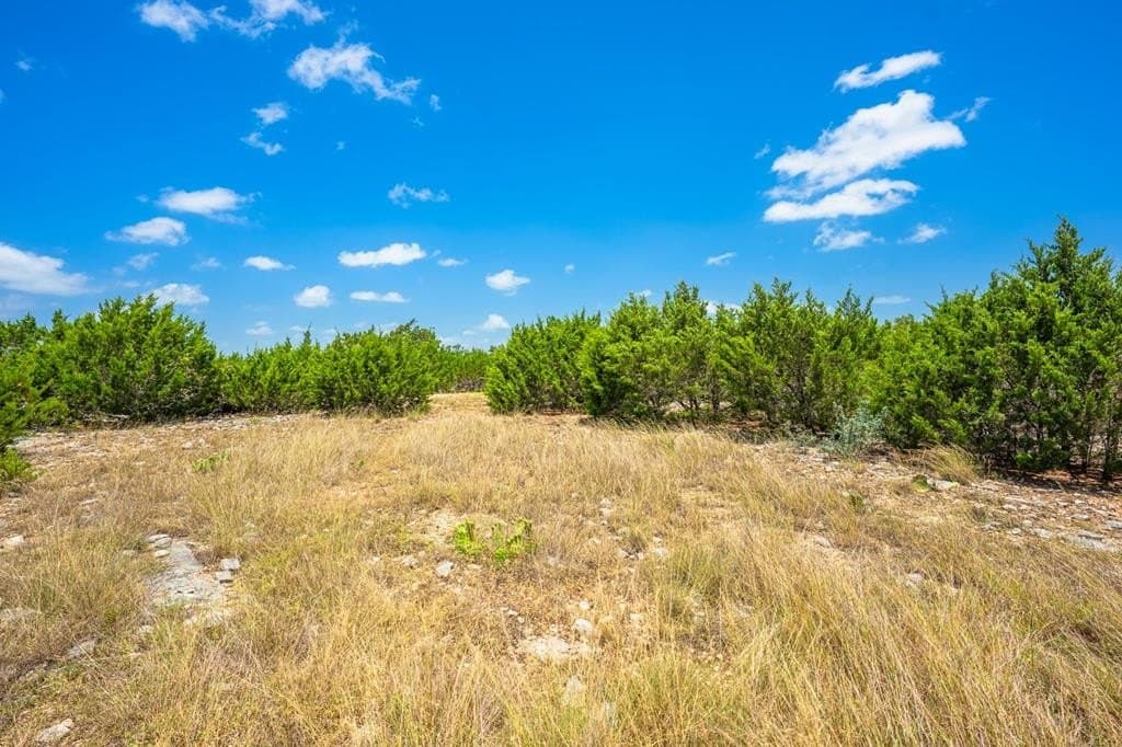 15.01 acres in Gillespie County - photo 9