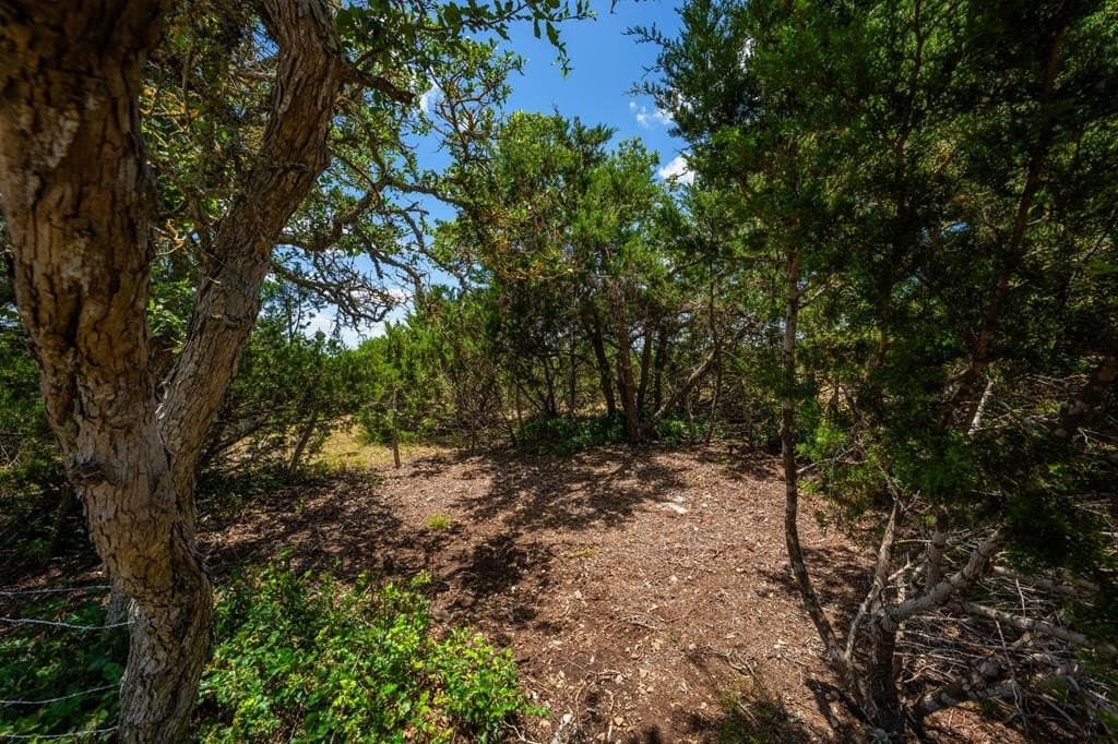 15.01 acres in Gillespie County - photo 10