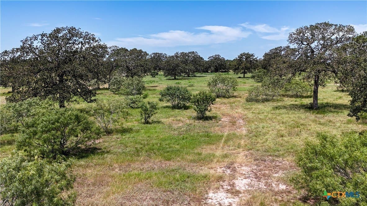 3.88 acres in Bastrop County gallery image 3