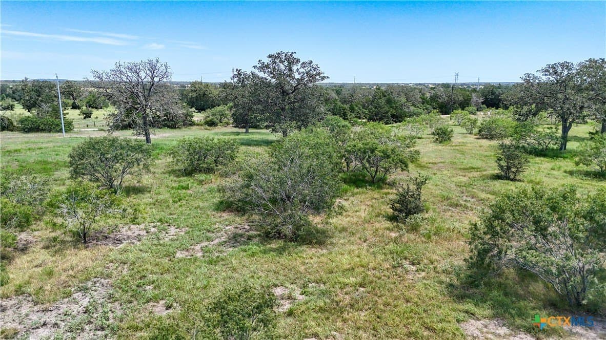 3.88 acres in Bastrop County gallery image 4