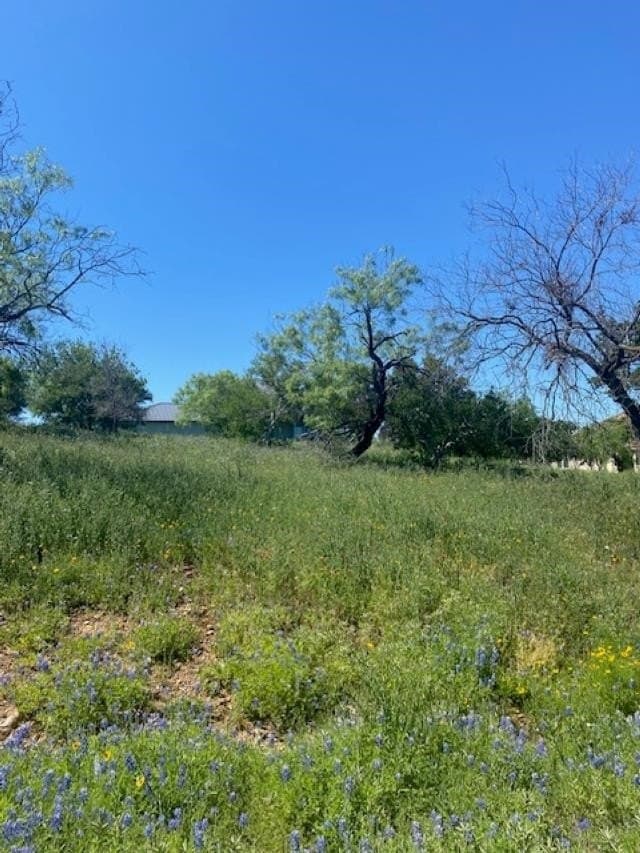 0.24 acres in Llano County gallery image 4