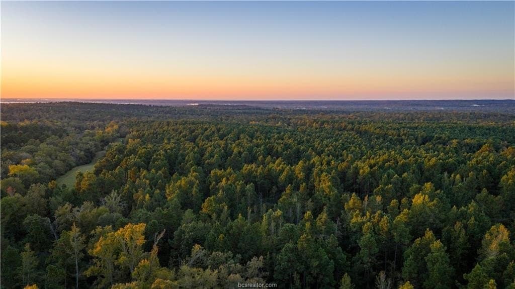 171 acres in Leon County - photo 32
