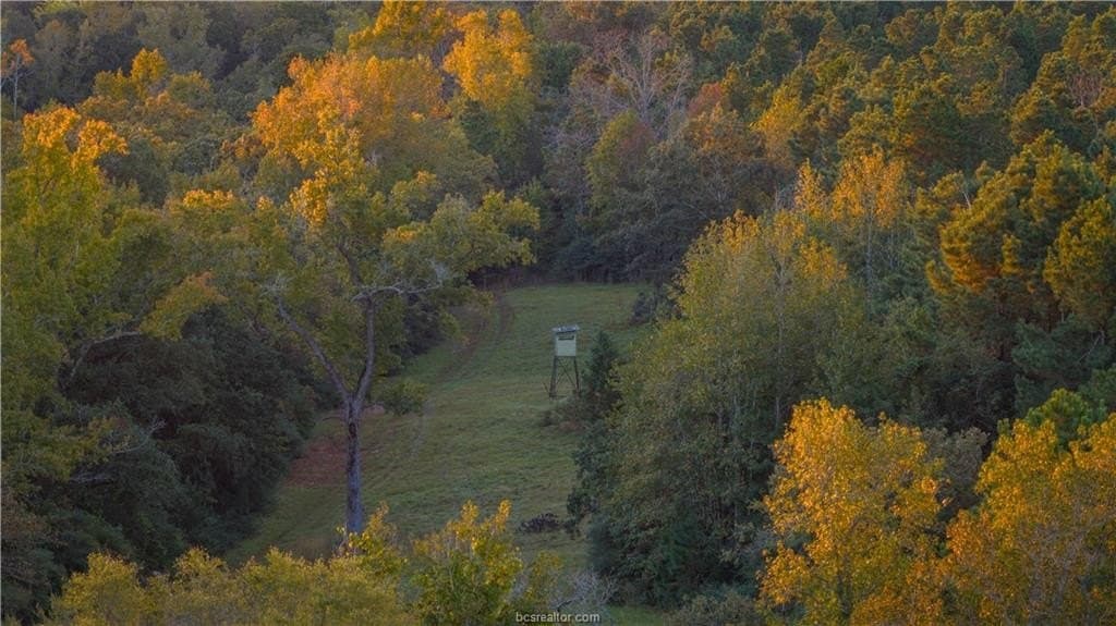 171 acres in Leon County gallery image 4