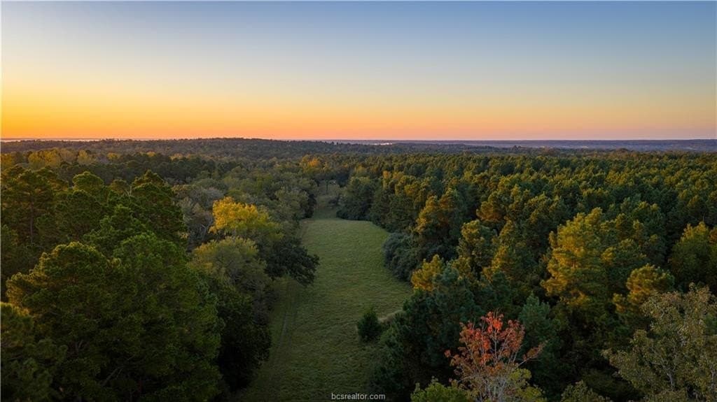 171 acres in Leon County - photo 23