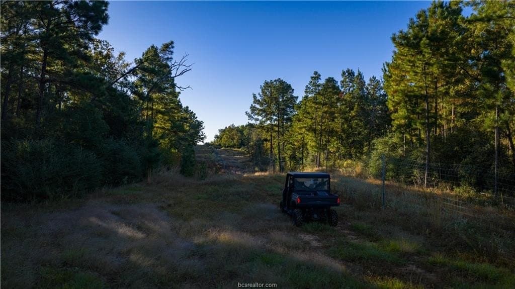 171 acres in Leon County - photo 41