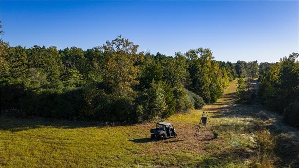 171 acres in Leon County - photo 49
