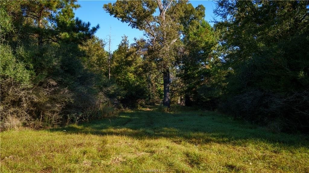 171 acres in Leon County - photo 26