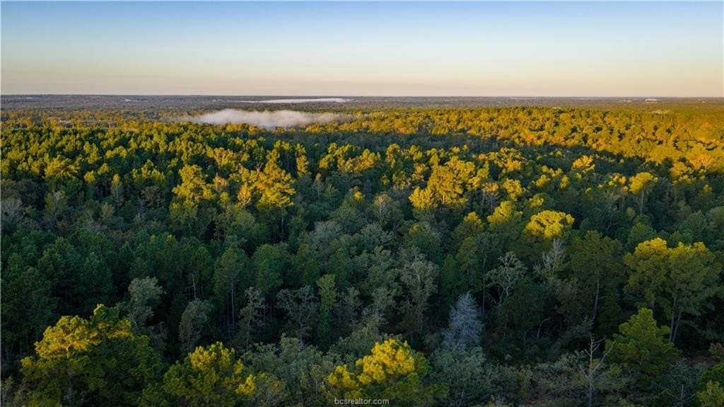 171 acres in Leon County - photo 21