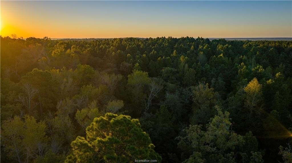 171 acres in Leon County - photo 35