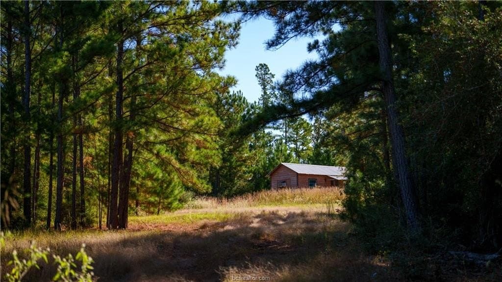 171 acres in Leon County - photo 31