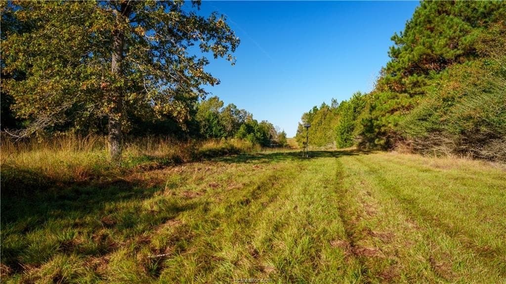 171 acres in Leon County - photo 28
