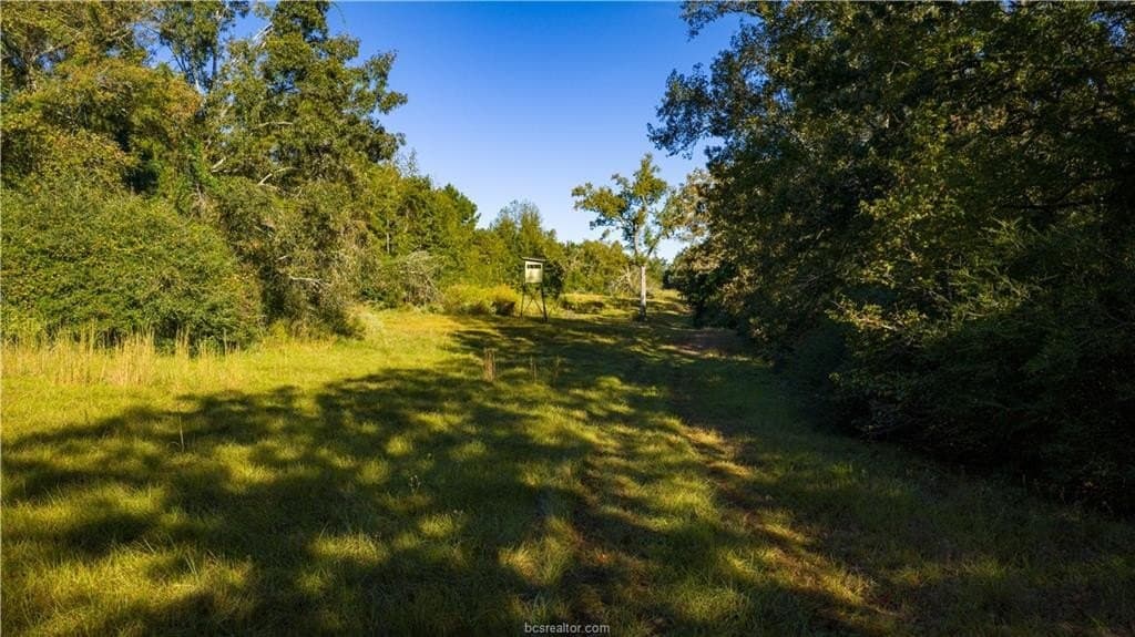 171 acres in Leon County - photo 47