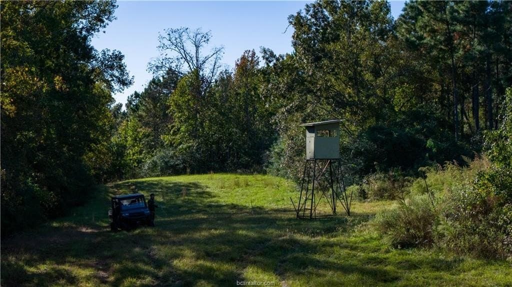 171 acres in Leon County - photo 27