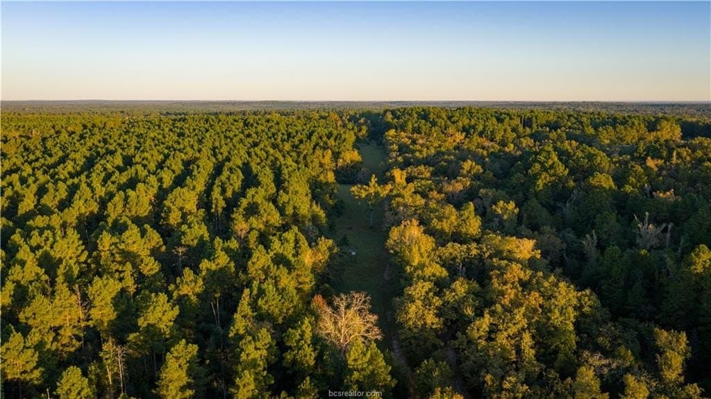 171 acres in Leon County - photo 36