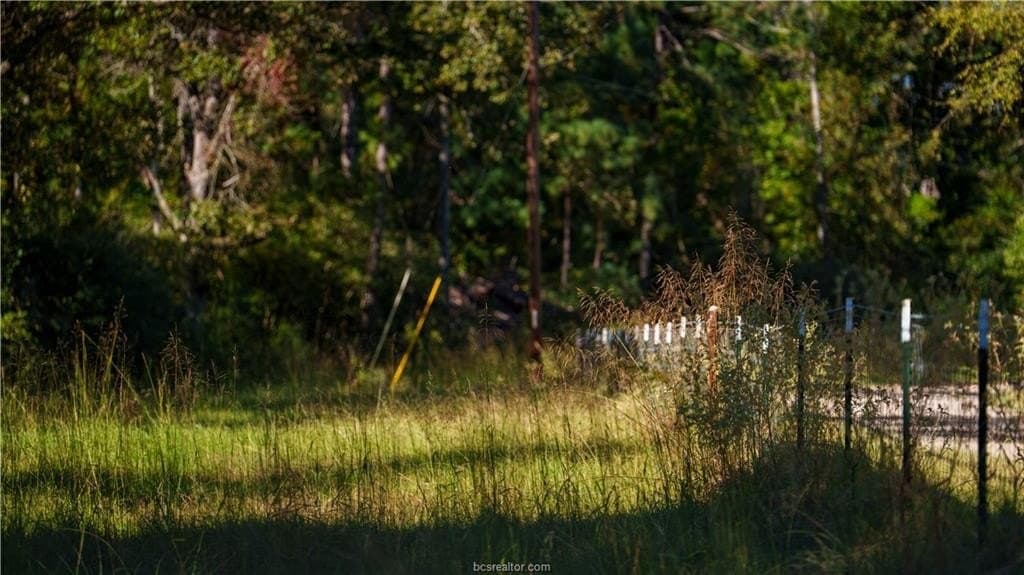 171 acres in Leon County - photo 29