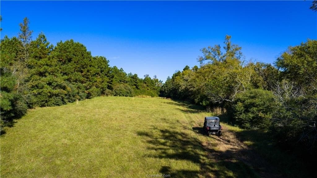 171 acres in Leon County - photo 7