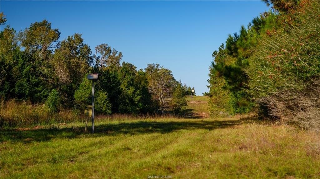 171 acres in Leon County - photo 10