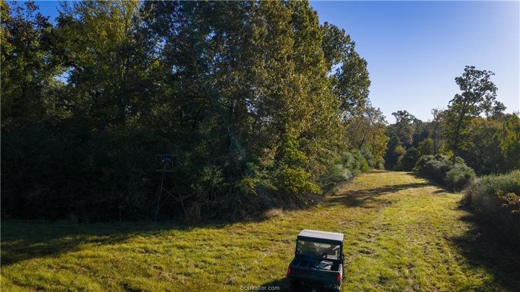 171 acres in Leon County - photo 43
