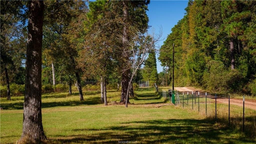 171 acres in Leon County - photo 19