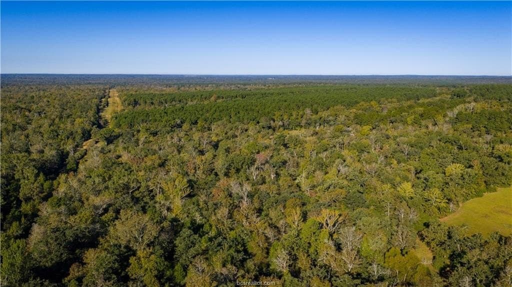 171 acres in Leon County - photo 46