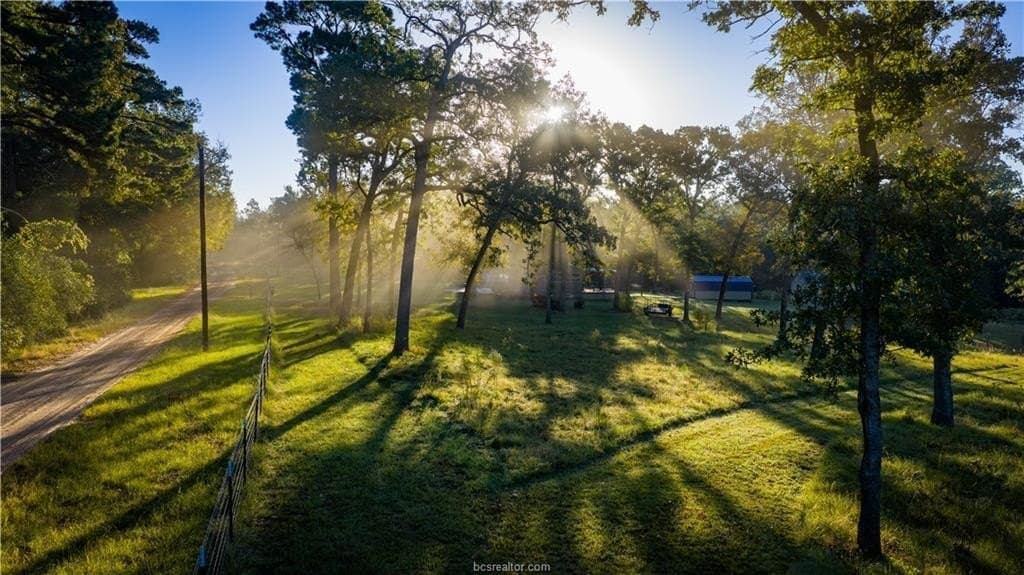 171 acres in Leon County - photo 37